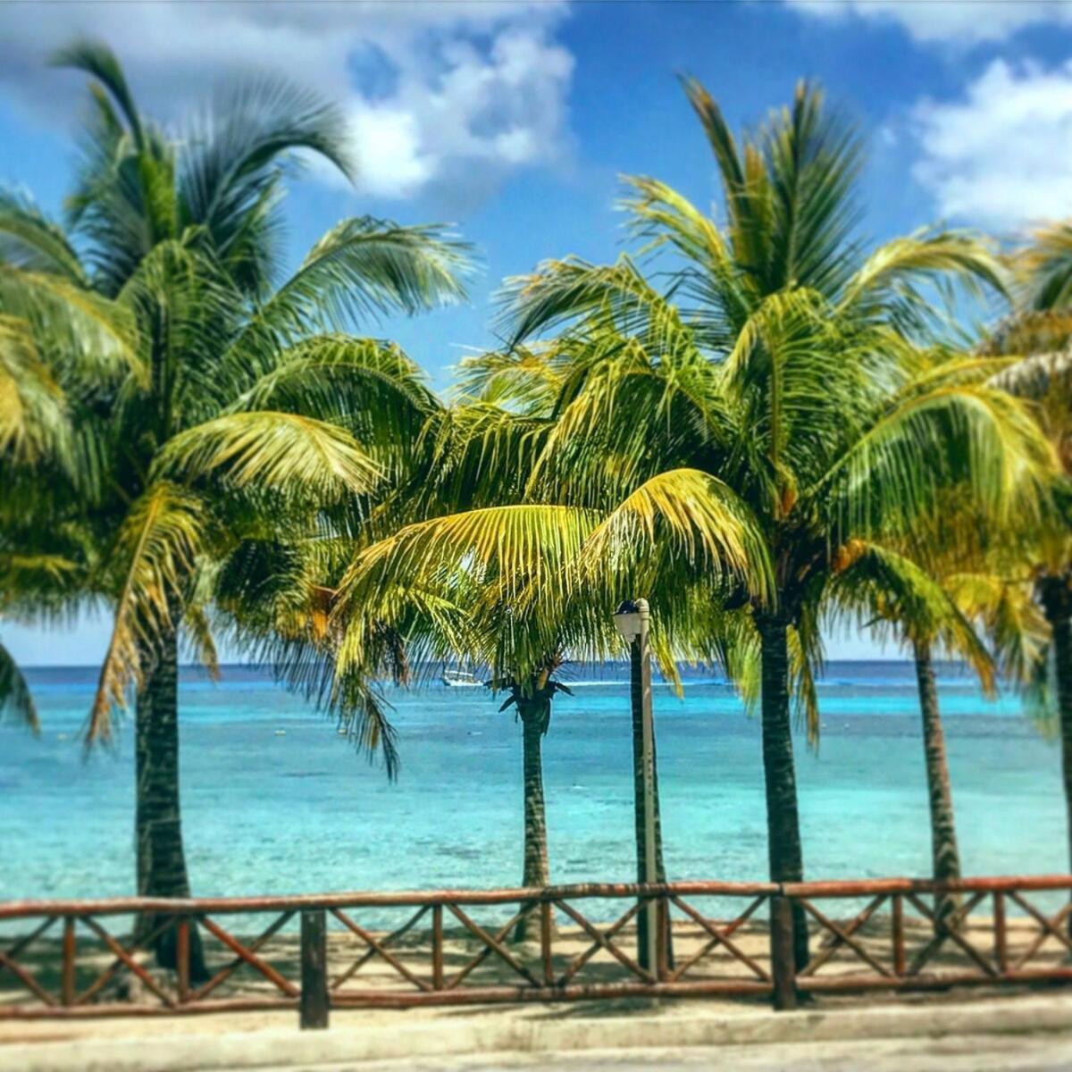 Apartamento Affordable Luxury 3br The Has To Offer It Is The Landmark Cozumel